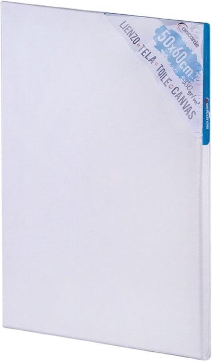 Canvas schildersdoek 50 x 60 cm - DIY hobbymaterialen artikelen - Schilderijen maken