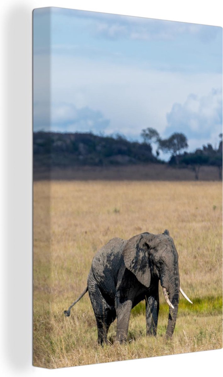 Canvas Schilderijen - Modderige baby olifant in de Serengeti - 40x60 cm - Wanddecoratie