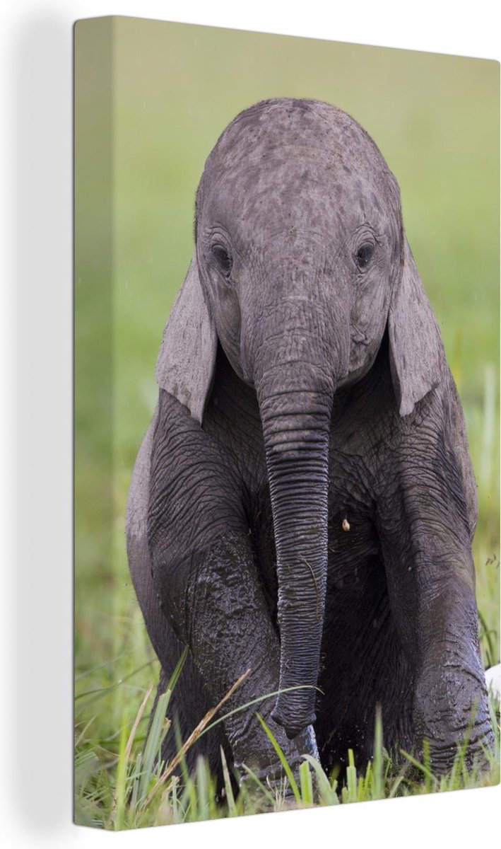 Canvas Schilderijen -  een baby olifant - 20x30 cm - Wanddecoratie