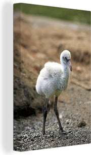 Baby rode flamingo Canvas 90x140 cm - Foto print op Canvas schilderij (Wanddecoratie woonkamer / slaapkamer)