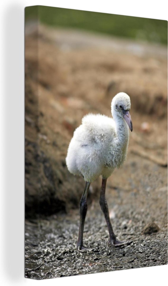 Baby rode flamingo Canvas 90x140 cm - Foto print op Canvas schilderij (Wanddecoratie woonkamer / slaapkamer)