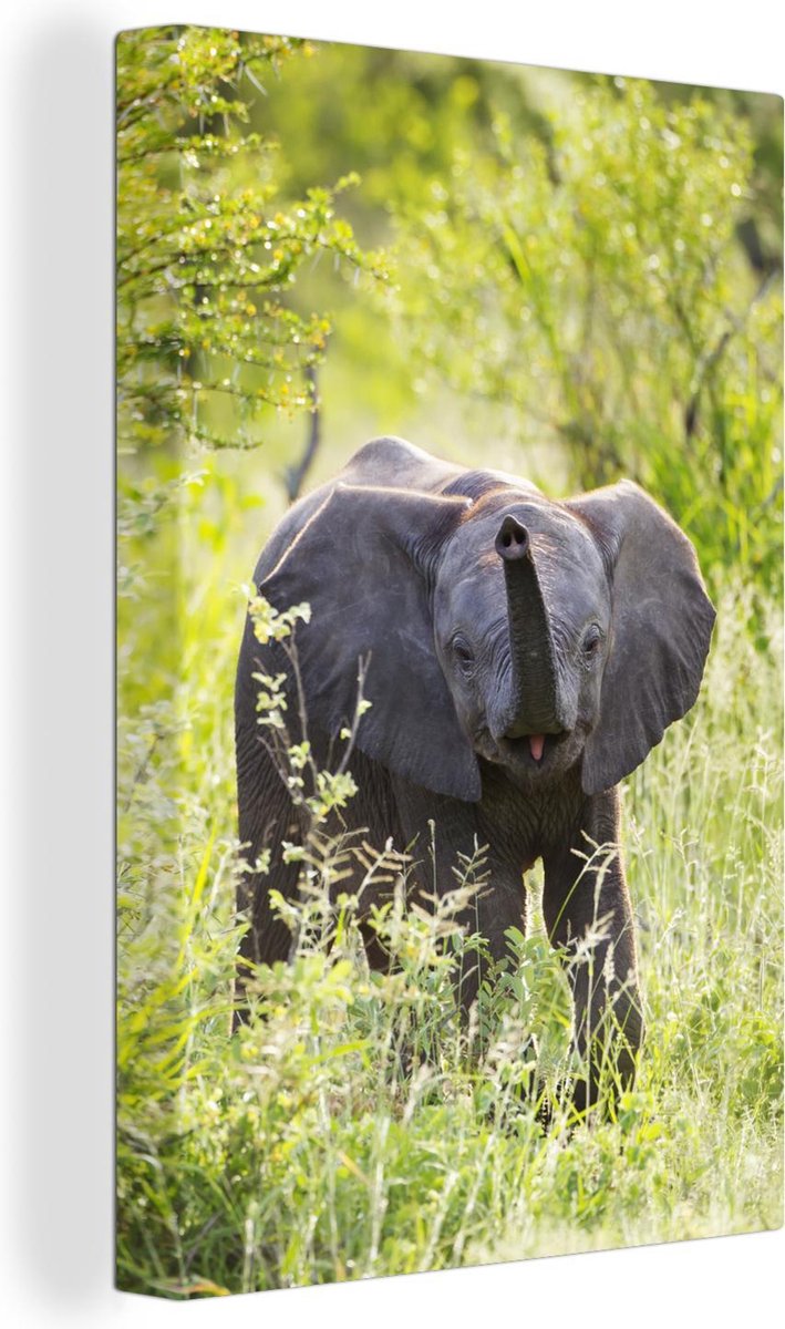 Canvas - Blije baby olifant in Zuid-Afrika - 20x30 cm - Decoratie