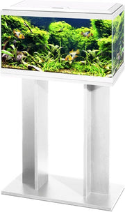 Ciano Aquarium 60 Led Cf80 60x30x41 cm - Aquaria - Wit
