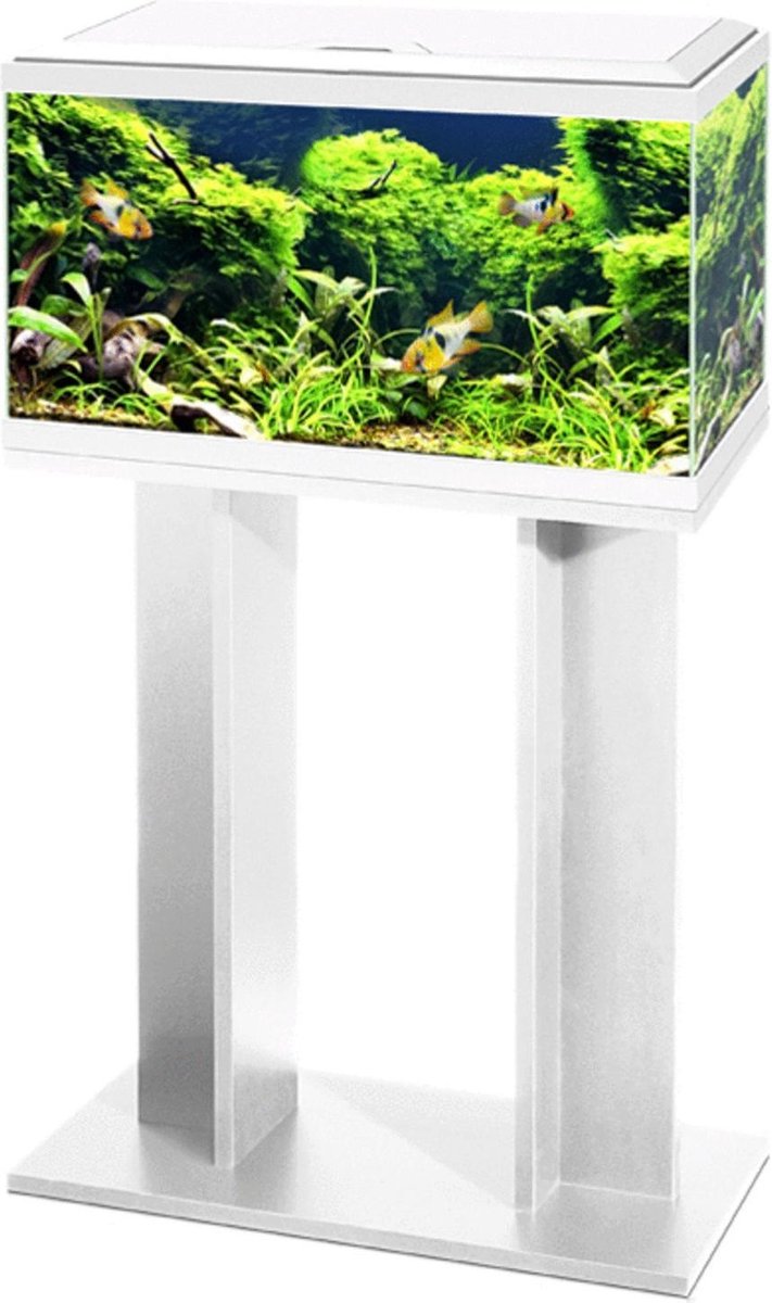 Ciano Aquarium 60 Led Cf80 60x30x41 cm - Aquaria - Wit