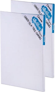 2x stuks canvas schildersdoeken 40 x 60 cm - DIY hobbymaterialen artikelen - Schilderijen maken
