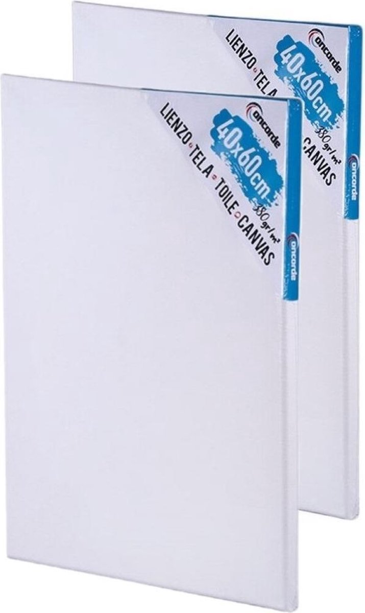 2x stuks canvas schildersdoeken 40 x 60 cm - DIY hobbymaterialen artikelen - Schilderijen maken