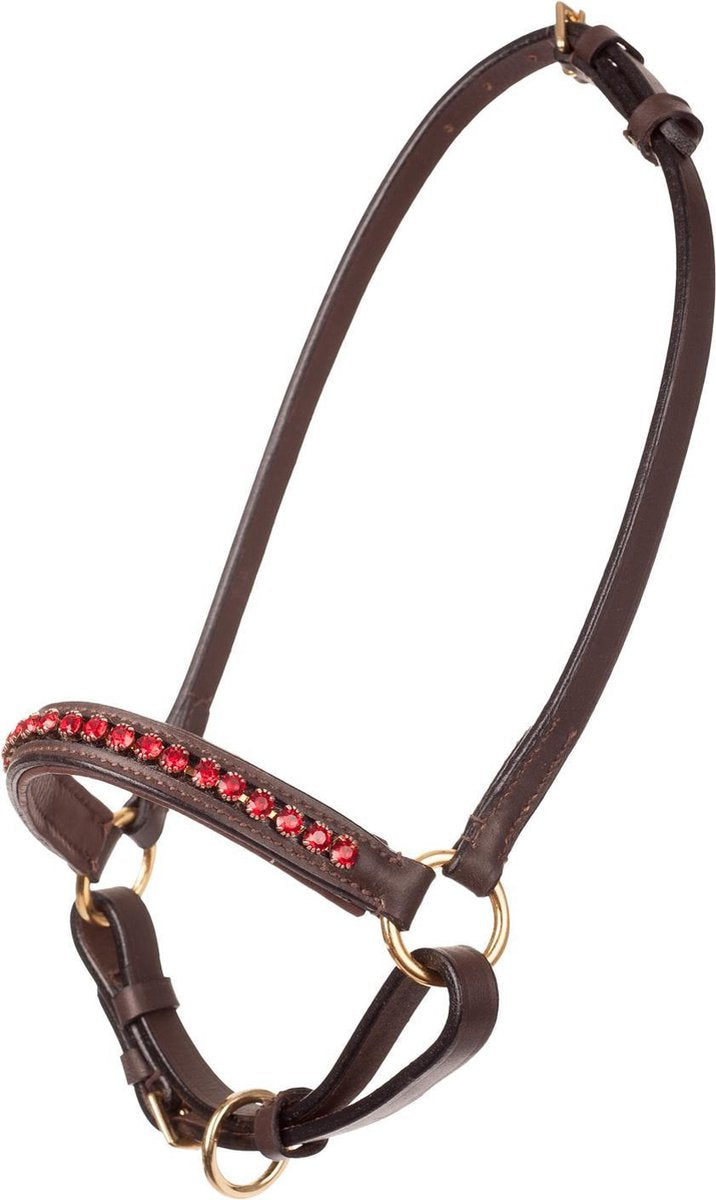 MHS Showhalster Mon Cherie Bruin/Rood mt 1