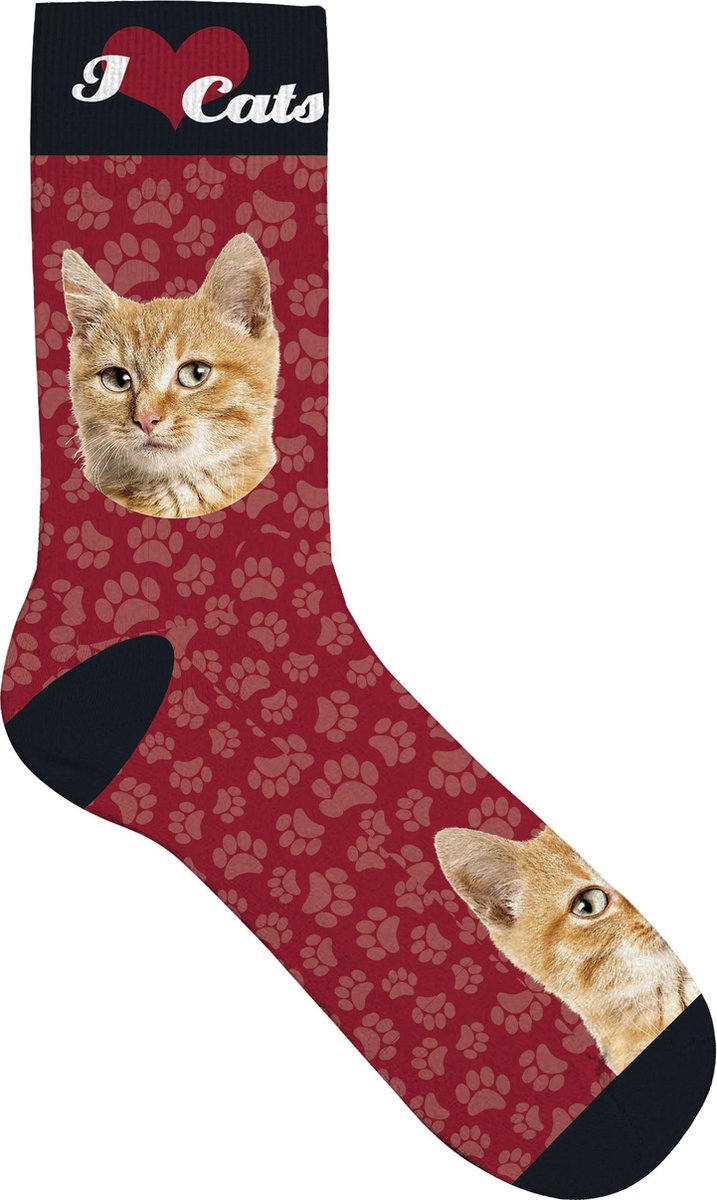 Plenty Socks Unisex Sokken Oranje Kat 36-41