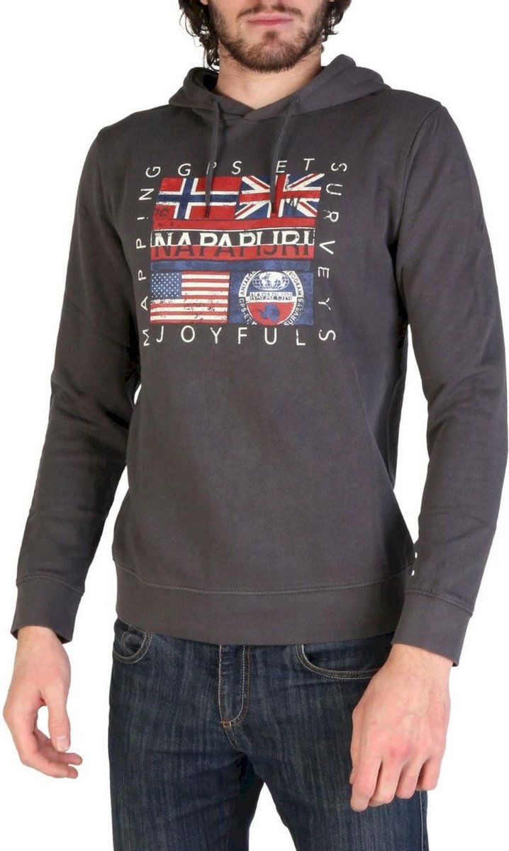 Napapijri - Sweatshirts - Heren - BACHU-N0YINY - gray