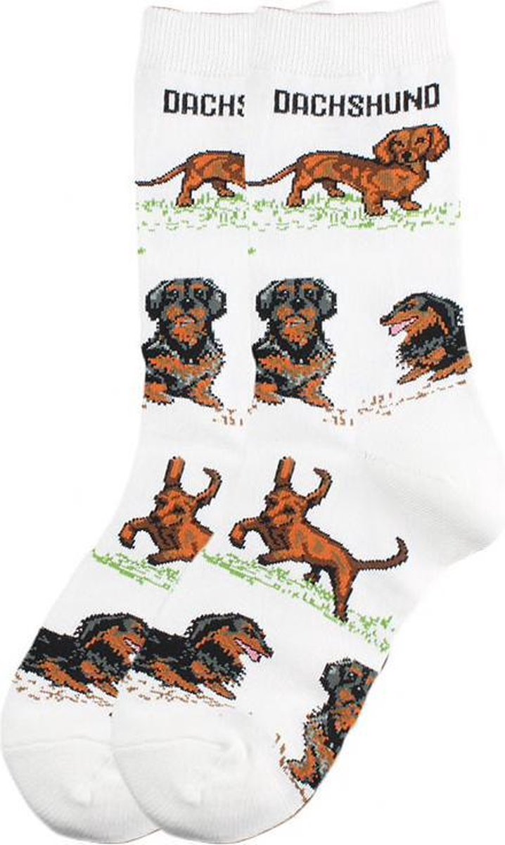 Fun sokken met veel Teckels / Daschshund