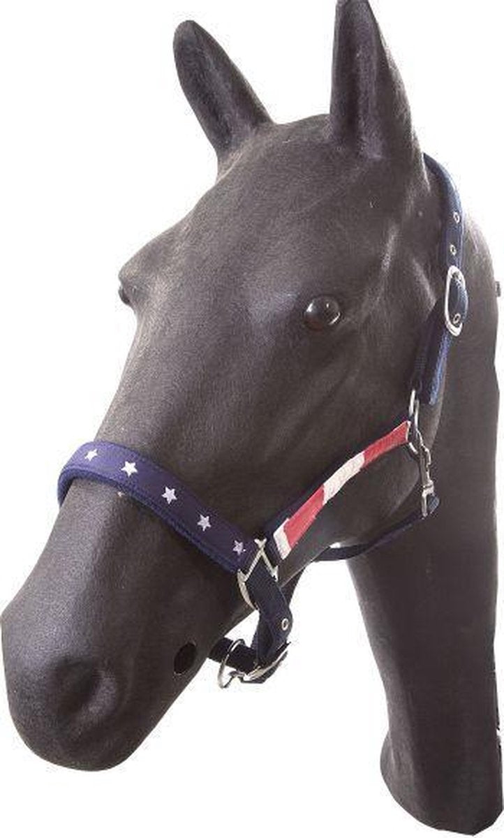 Hb halster padded pony stars look usa