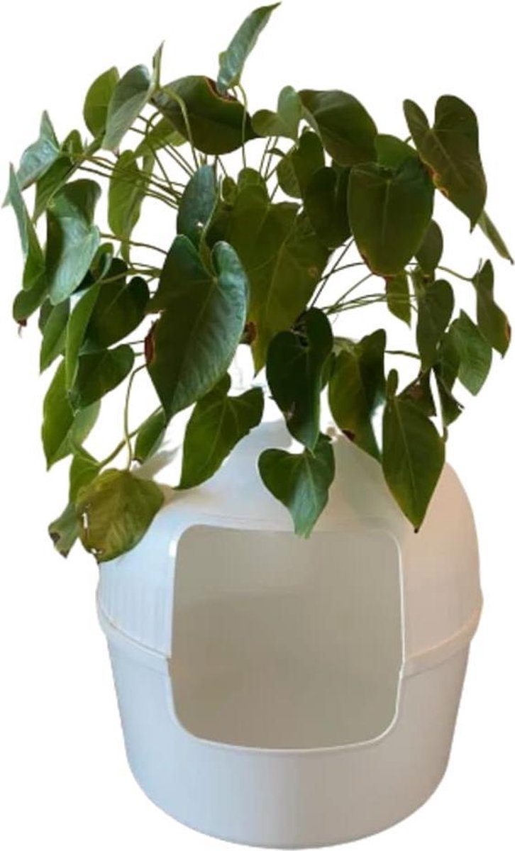 RHRQuality Kattenbak Flower XXL wit onzichtbare kattentoilet 51Øx55cm