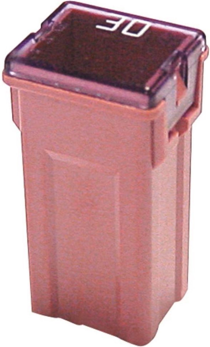ZEKERING TYPE JAP-J 30A (1 ST)