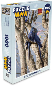Puzzel 1000 stukjes volwassenen Hyacinthara 1000 stukjes - Hyacintarakoppel  - PuzzleWow heeft +100000 puzzels