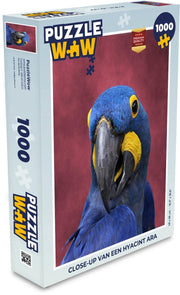 Puzzel 1000 stukjes volwassenen Hyacint ara 1000 stukjes - Close-up van een hyacint ara  - PuzzleWow heeft +100000 puzzels