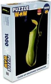 Puzzel 1000 stukjes volwassenen Vleesetende Planten 1000 stukjes - Close-up Druipende kandrager puzzel 1000 stukjes  - PuzzleWow heeft +100000 puzzels