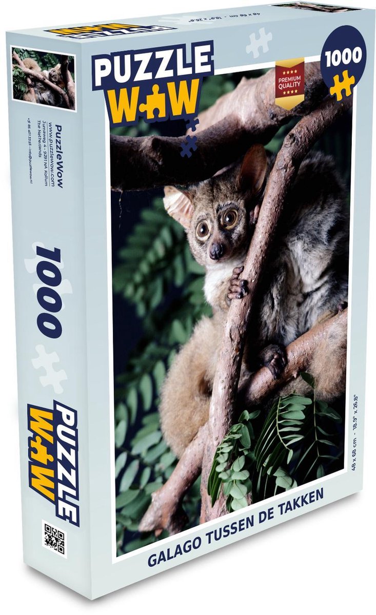 Puzzel 1000 stukjes volwassenen Galago 1000 stukjes - Galago tussen de takken puzzel 1000 stukjes  - PuzzleWow heeft +100000 puzzels