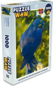 Puzzel 1000 stukjes volwassenen Hyacint ara 1000 stukjes - Een hyacint ara tegen een onscherpe achtergrond  - PuzzleWow heeft +100000 puzzels