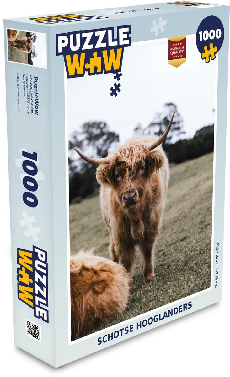 Puzzel 1000 stukjes volwassenen Schotse hooglander nieuw 1000 stukjes - Schotse hooglanders puzzel 1000 stukjes  - PuzzleWow heeft +100000 puzzels