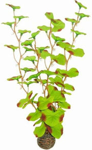 Superfish easy plants hoog nr. 13