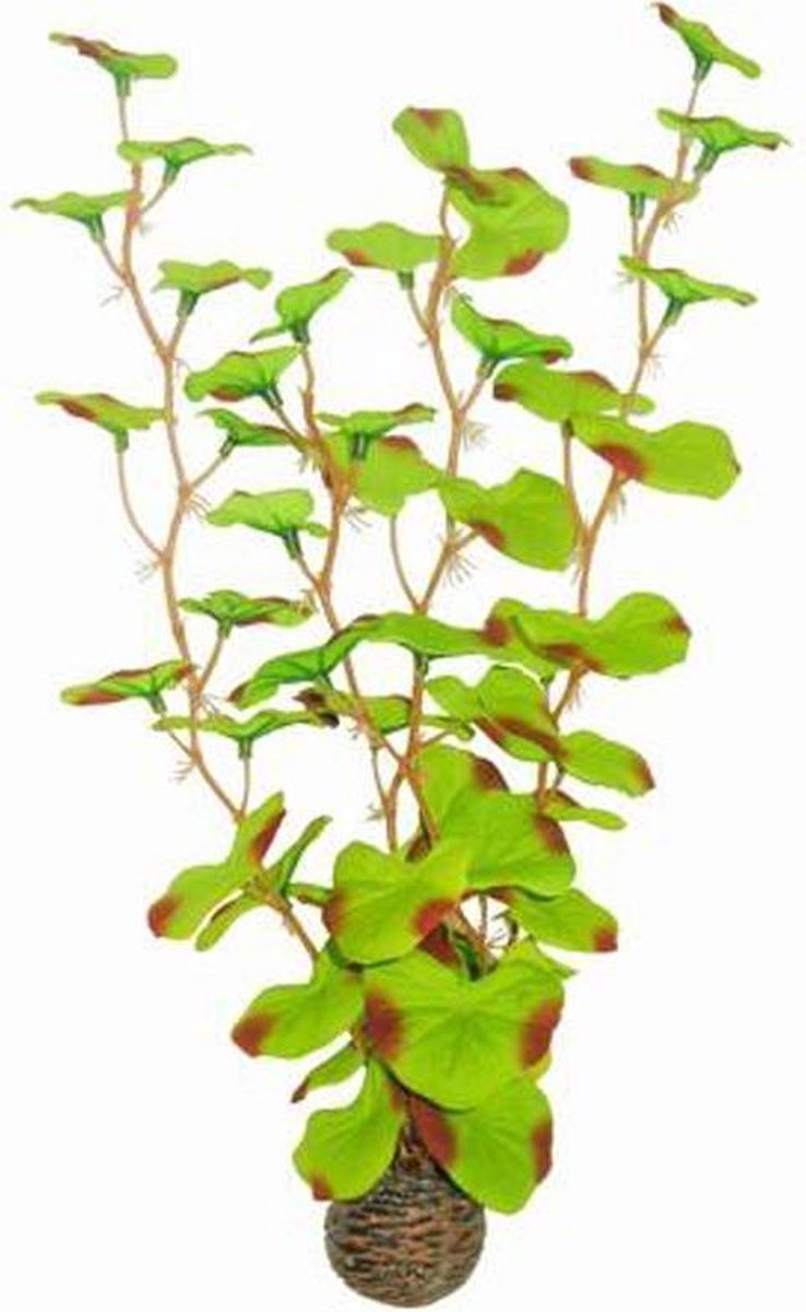 Superfish easy plants hoog nr. 13