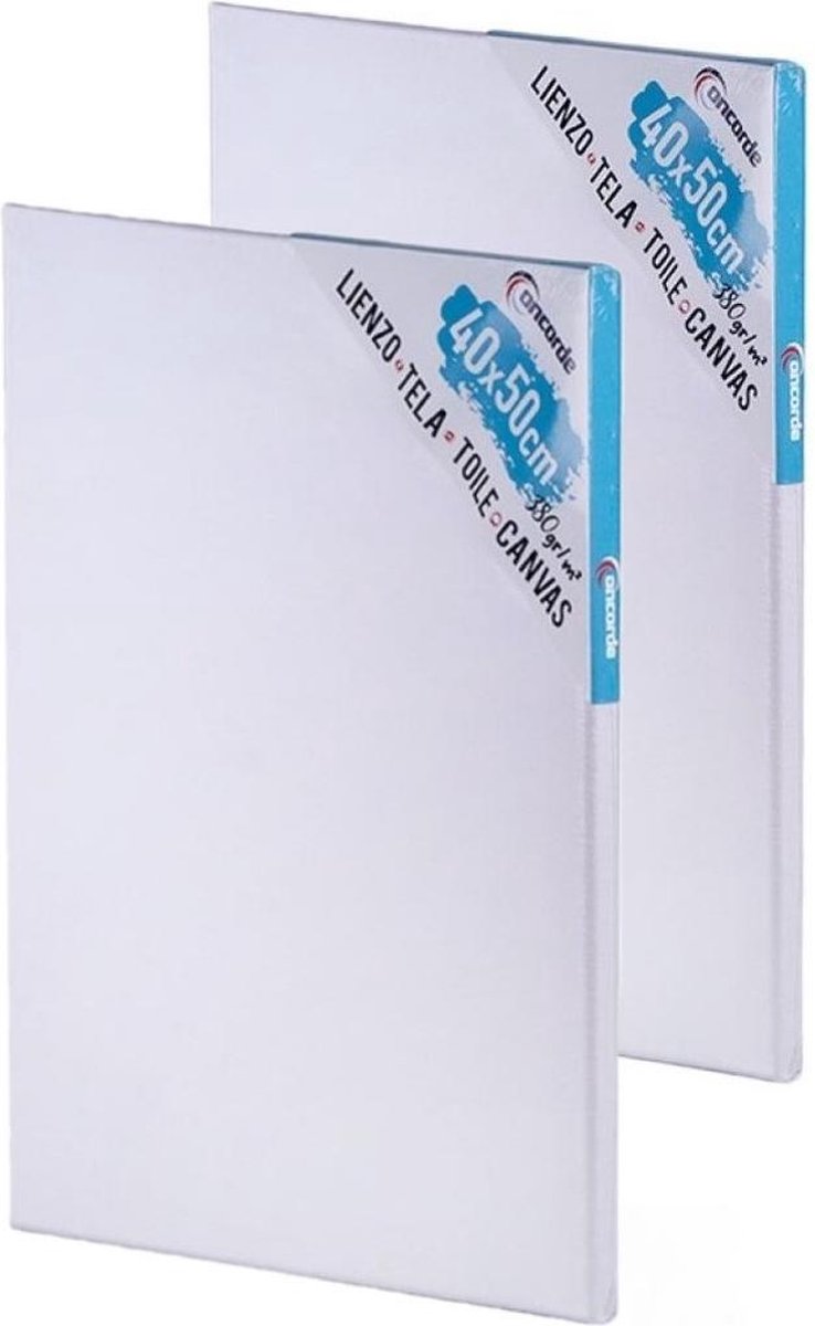 2x stuks canvas schildersdoeken 40 x 50 cm - DIY hobbymaterialen artikelen - Schilderijen maken