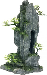 Auqa Della High rock 1 16