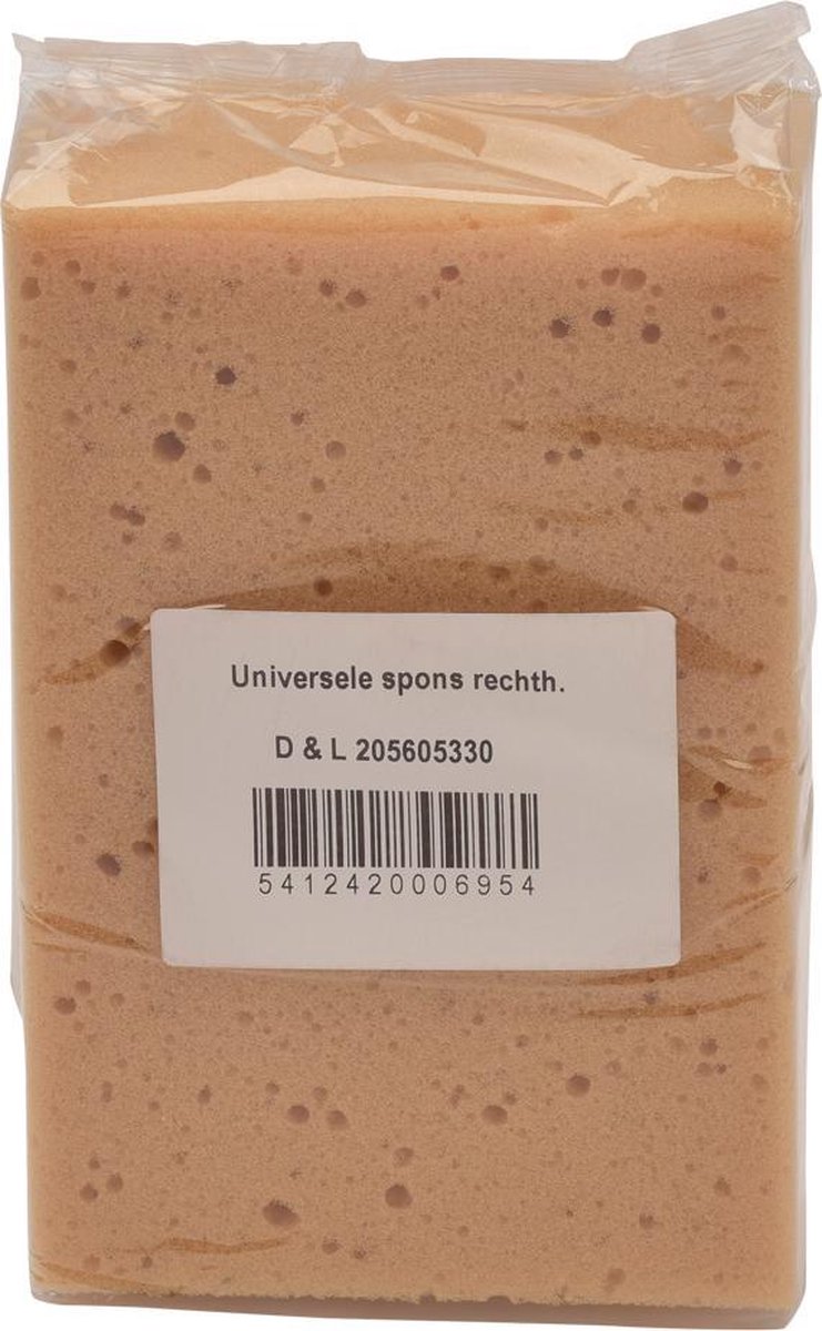 Universele Spons voor Huishoud & Auto