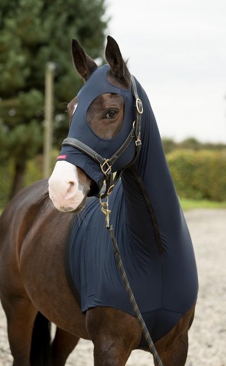 LeMieux Lycra Hood
