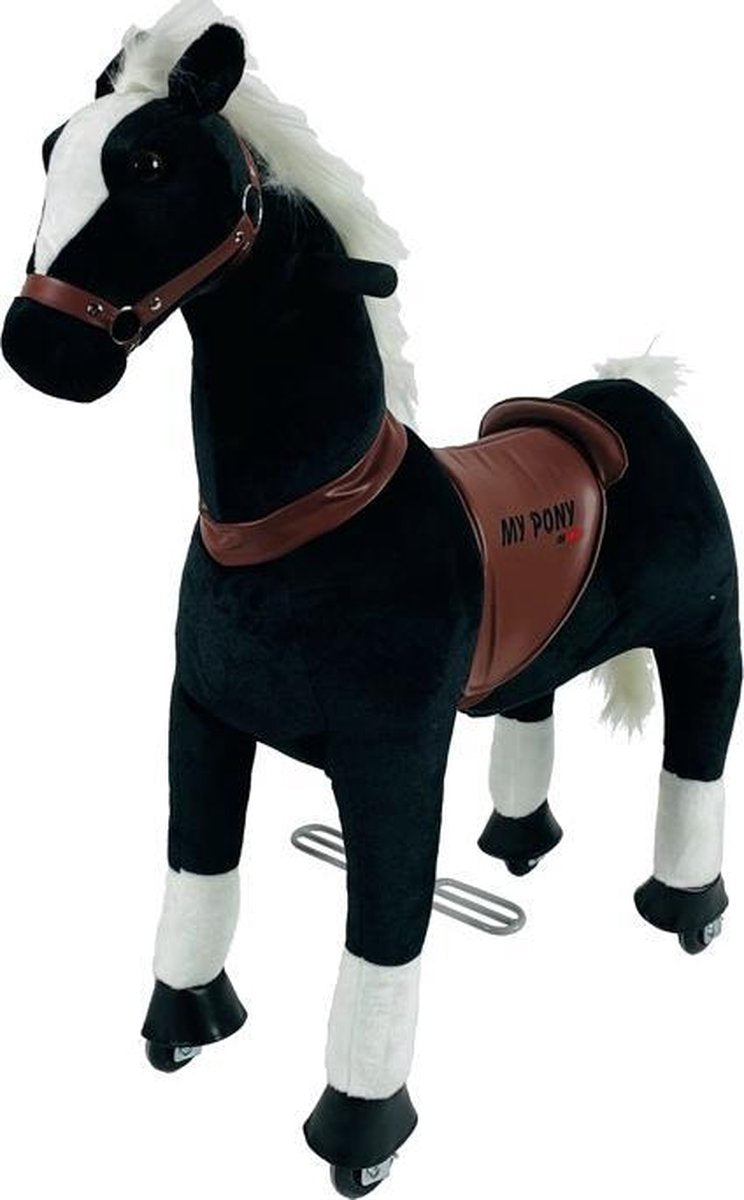 MY PONY