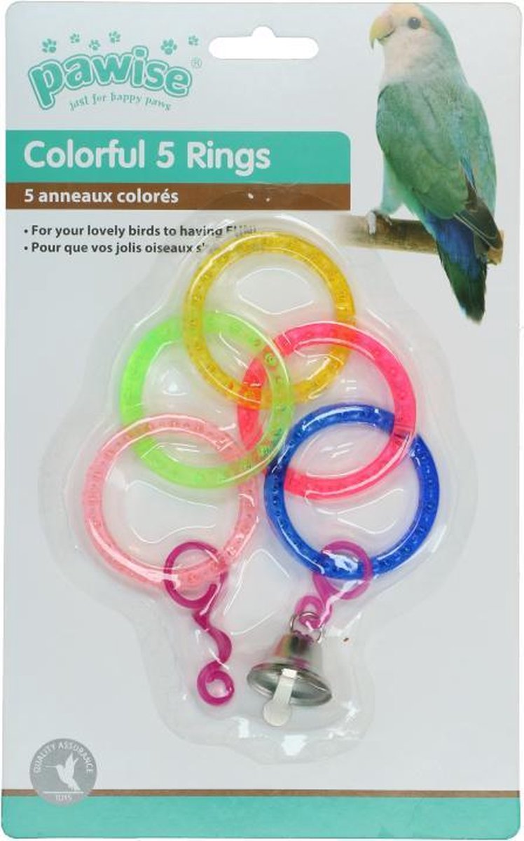 Bird colorful  ring