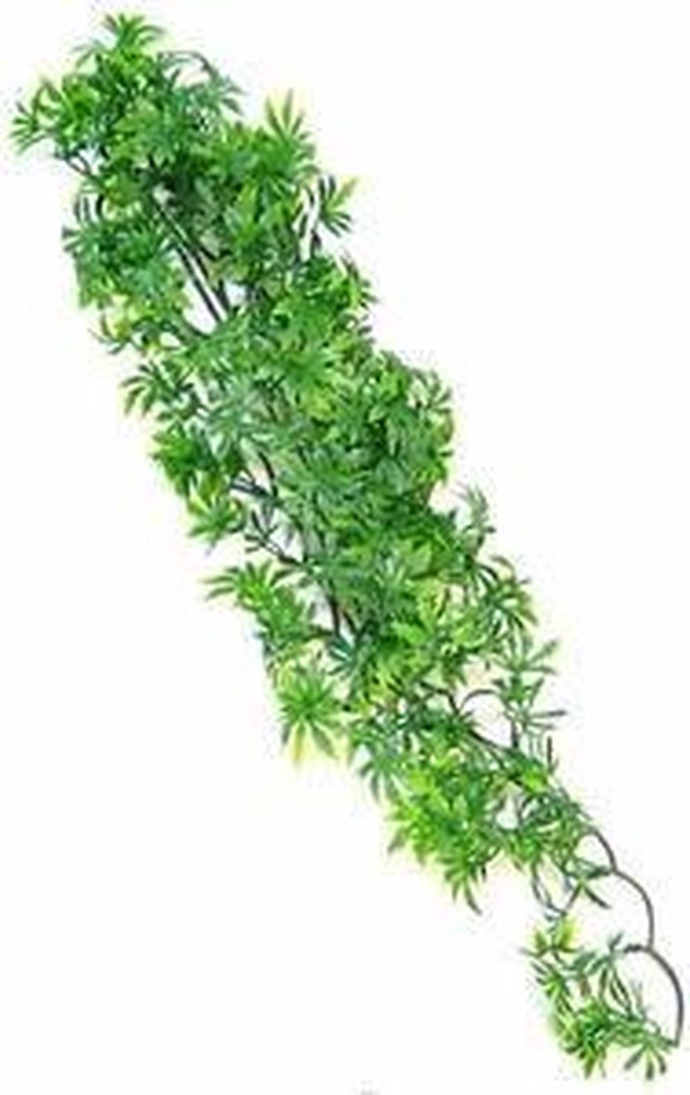 ZooMed - naturalistic flora - cannabis - medium - terrariumplant