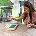 Shut the Box