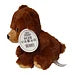Pluchen Knuffel - Beer