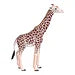 Mojo Wildlife Wilde Dieren Safari Speelset