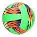 Volleybal