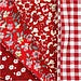 Patchwork Stof Rood 45x55cm