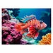 Legpuzzel Colorful Animals Rode Koraalduivel