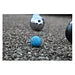 Jeu de Boules Buts