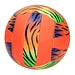 Volleybal