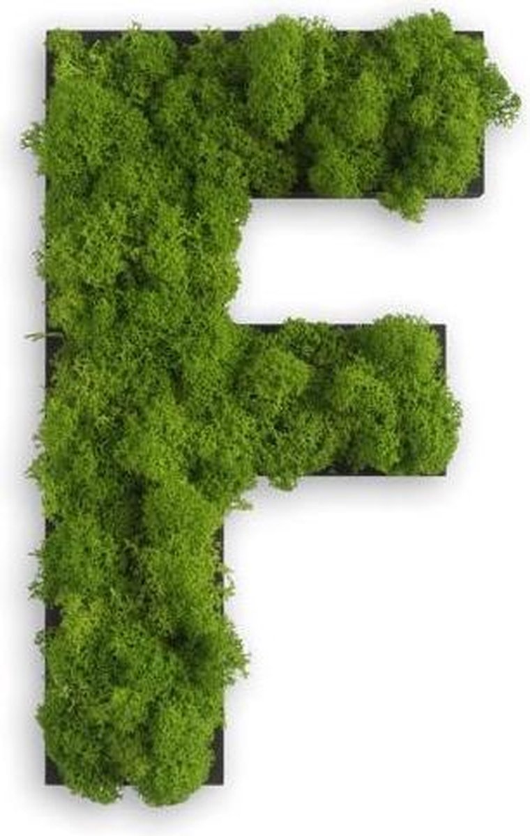 Stylegreen Alfabet letters A t/m Z - Reindeer moss - 25cm