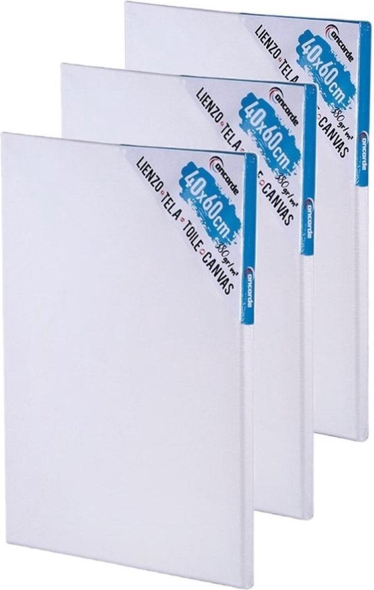 5x stuks canvas schildersdoeken 40 x 60 cm - DIY hobbymaterialen artikelen - Schilderijen maken