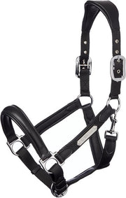 Lemieux Halster  Capella - Black - paard