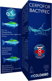 Colombo bactyfec 100 ml voor 500 ltr - 1 ST