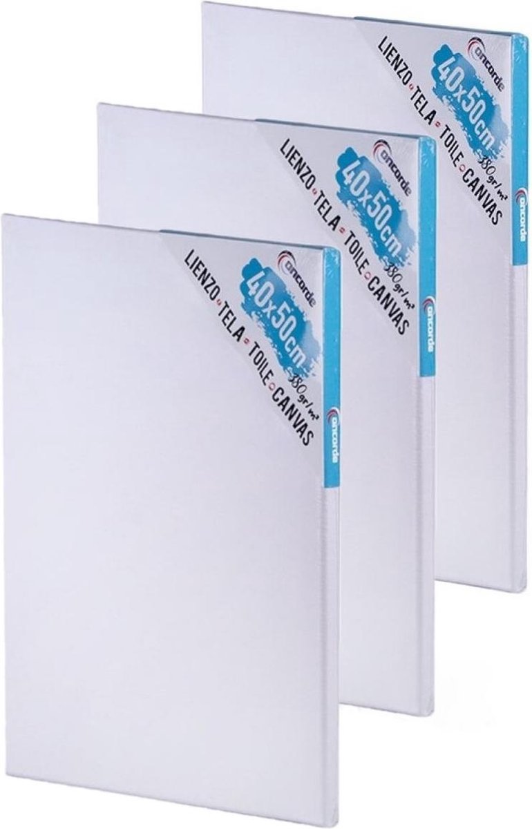 3x stuks canvas schildersdoeken 40 x 50 cm - DIY hobbymaterialen artikelen - Schilderijen maken