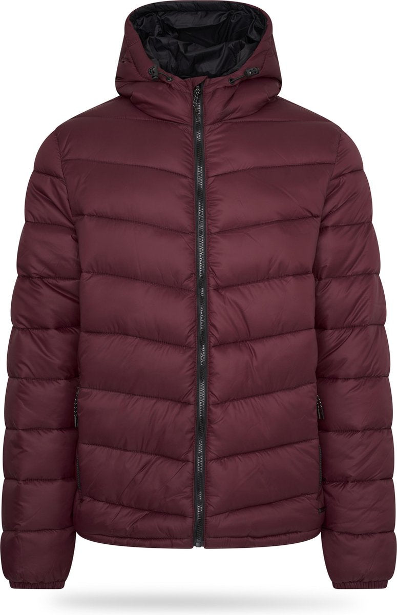 Pierre Cardin - Heren Jas winter Padded Jacket - Rood - Maat L