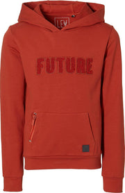 Levv hooded sweater Kelth terra voor jongens - maat 164