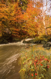 Diamond Painting Volwassenen - Eifel Irreler Wasserfalle - 50x75 cm (Volledige Bedekking) - Inclusief Premium Tools