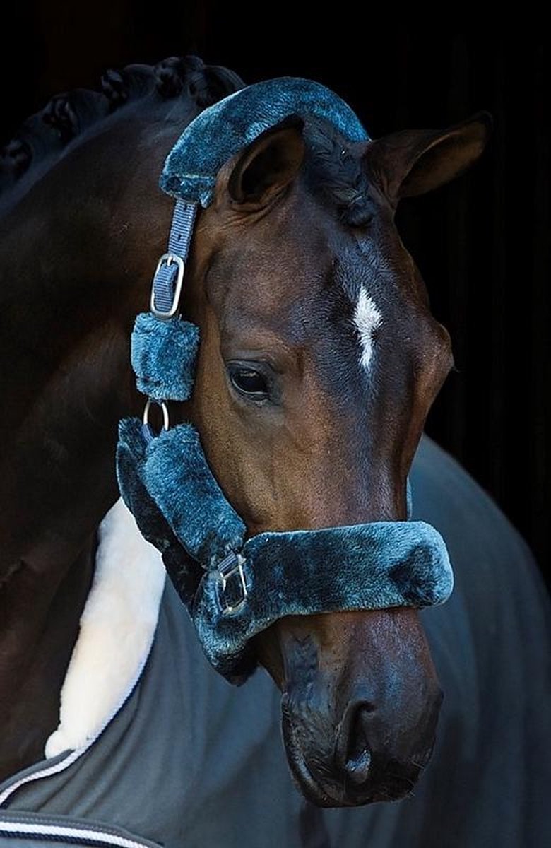 HB Halster Allround Fluffy