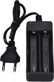 Dual 18650 Batterij oplader lader 220 Volt